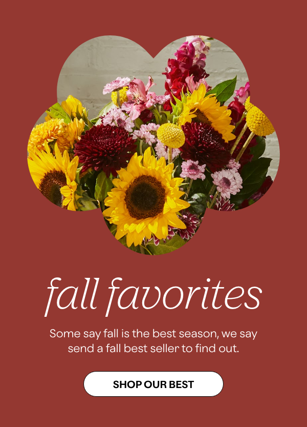 freshforfall favorites designed to delight ProFlowers